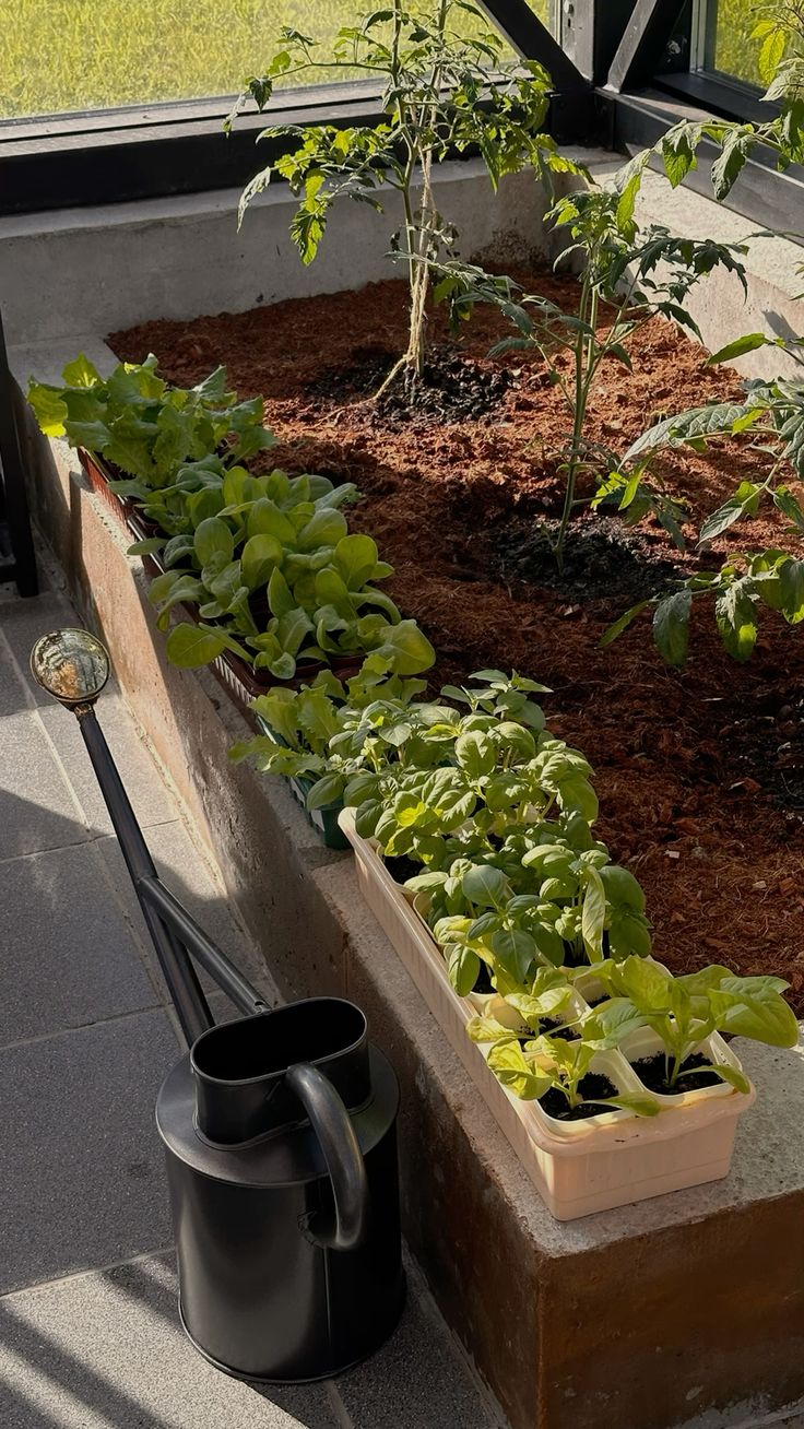 7 Genius Ways to Keep Your Plants Watered While You’re on Vacation